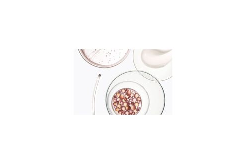 Discipline Bain Fluidéaliste Gentle - Shampooing | L'Oréal Partner Shop