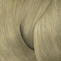 COLOR GELS 10NA 60ml / 10.01 - Kleur | L'Oréal Partner Shop