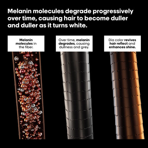 Dia Color - Dia color | L'Or&eacute;al Partner Shop